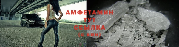 прущие грибы Аркадак
