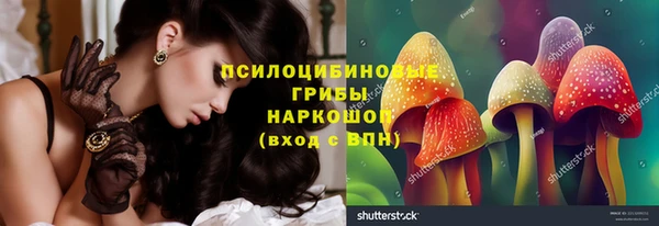 прущие грибы Аркадак