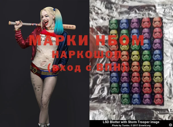 прущие грибы Аркадак