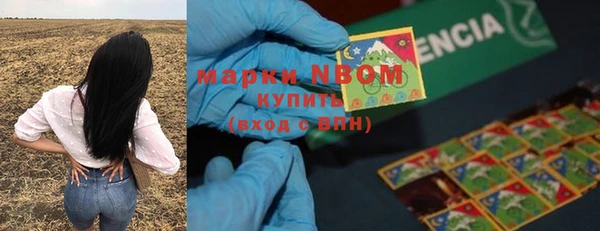прущие грибы Аркадак