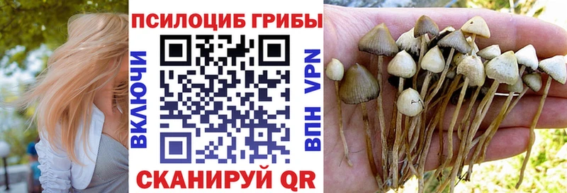 Псилоцибиновые грибы Cubensis  Рассказово 